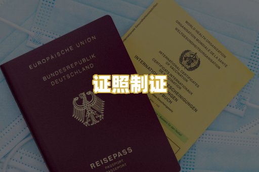 证照制证